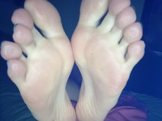 Novafemboy